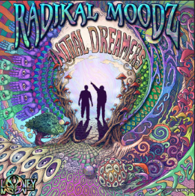 INITIAL DREAMERS - RADIKAL MOODS - SYNKRONIC