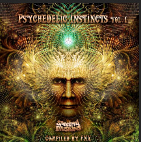 PSYCHEDELIC INSTINCTS VOL.1 - DIKSHA