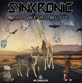 THIS WEIRD MUSIC - SYNKRONIC