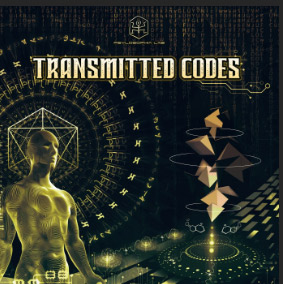 TRANSMITTED CODES - DIKSHA