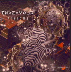 VISIONS - ENDEAVOUR DIKSHA