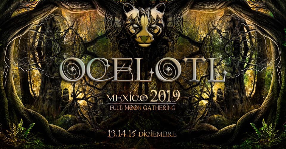 Ocelotl Festival Mexico-2019 - Diksha Live